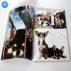 Custom monthly magazine printer art magazine printing