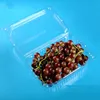 New Products Disposable Plastic clamshell grape packing box