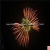 /product-detail/5-inch-display-shell-fireworks-shells-for-sale-341899790.html