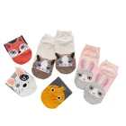 WW19246 Wholesale Custom Socks Korean Art Design Socks Cute Funny Animal Dog Ankle Creative Women Socks