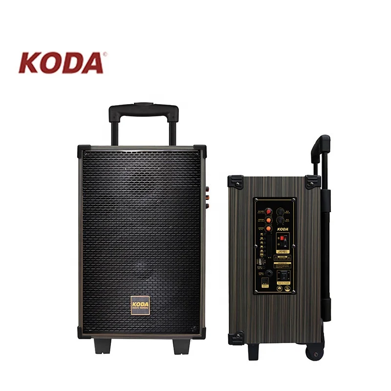 Mini portable disco movable sound box big battery active trolley bluetooth speakers with Mic - ANKUX.COM