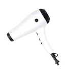 Professional Salon Use AC Motor Power Ultra light Hair Dryer 3000W 2 Speed Fast Hair Dryer