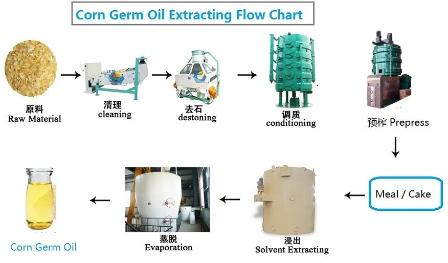 corn maize germ oil press extraction machine