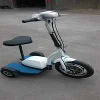 3 Wheel Folding Portable Scooter Electric