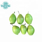Fresh Ya Pear Chinese Supplier Taifeng Brand