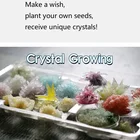 Wishing crystal growing kit science educational toys