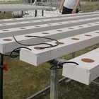 Lettuce PVC Pipe Agriculture Greenhouse Vegetable Seed Planting hydroponic