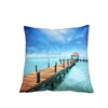 Custom design pillow super soft mink digital printing pillow photo cushion
