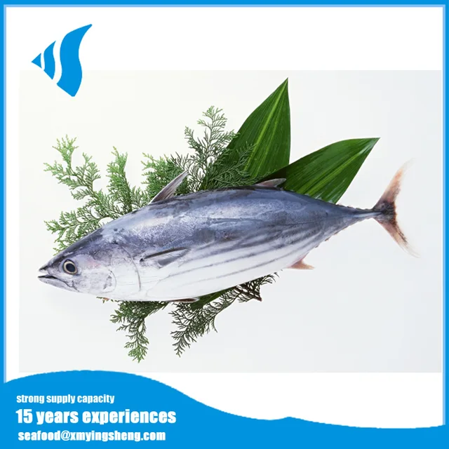 iqf whole round frozen skipjack tuna fish for sale