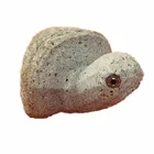 River Rock Natural Stone Pet Tortoise Statue Animal Carving Stone Turtles