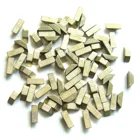 Hard Permanent Ferrite Magnet with OEM Quality