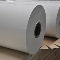 Environment Friendly PP Synthetic Paper Pearlized