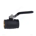QIONGYU Universal nylon plastic brass internal female thread black ball valve Factory Direct black plastic Ball Valves