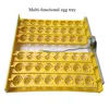 /product-detail/plastic-quail-tray-quail-chicken-egg-packaging-quail-egg-cartons-for-sale-60780475728.html
