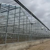 Industrial Greenhouse Gi Tube Swaged End Galvanized Steel Pipe