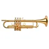 Gold Lacquer Stainless Steel Competitive Price Eb/D Trumpet