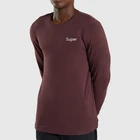Breathable Cotton Spandex Gym Athletic Tops Wholesale Basic Long Sleeve Normal Bottom T Shirt For Men