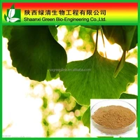 High Quality Gmp Factory Supply Ginkgo