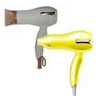 2019 Professional Portable Traveling Hair Blower Dryer Zh168