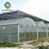 /product-detail/low-cost-tunnel-greenhouse-for-sale-economic-invernader-60549179847.html
