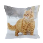 Wholesale Cute Custom animal Cushion Cover Sofa Special Design Square Pillow