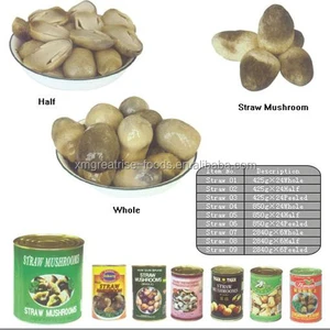 cheap canned straw mushroom whole straw mushroom in tin