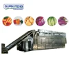 /product-detail/factory-direct-sales-all-kinds-of-belt-dryer-food-fruit-dehydrator-machine-60421579772.html