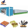 Factory Price Automatic Plastic Egg Tray Production Making Machine with drying system