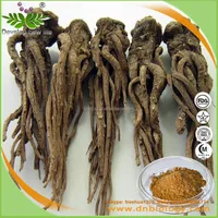 Health Amp Amp Medical Dong Quai