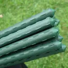 Plastic Plastic Plastic Garden Stakes Plastic Coated Steel Garden Stakes