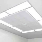 Hospital laminar air flow ceiling ceiling clean room supply