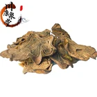 Chinese traditional crude herbs of Cibotium barmetz for tonifying liver and kidney