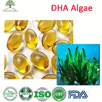 halal natural joint support improve memory algae oil capsule dha