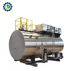 Automatic WNS 1-20 Ton Horizontal high pressure gas fired steam boiler