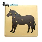 Montessori teaching materials wooden horse skeleton puzzle toy for kids Z14164M