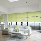 Best Selling High Quality Wifi Remote Control All Smart Window Blinds