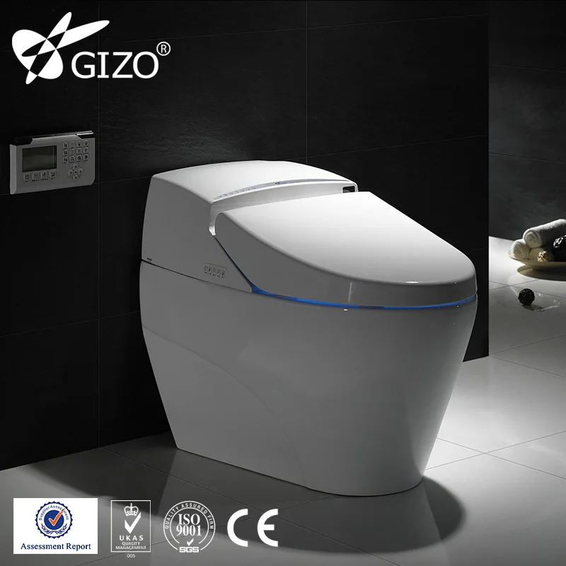Toto Intelligent Bathroom Water Closet Toilet Toto
