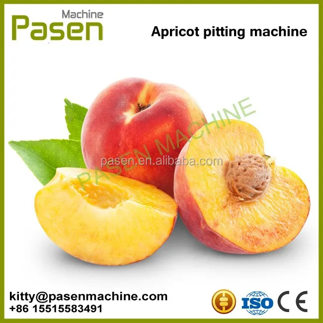 peach kernel remover machine.jpg