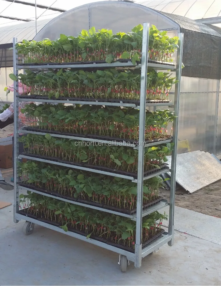 Plant Nursery Equipment List Thenurseries Plant Nursery Equipment List Thenurseries