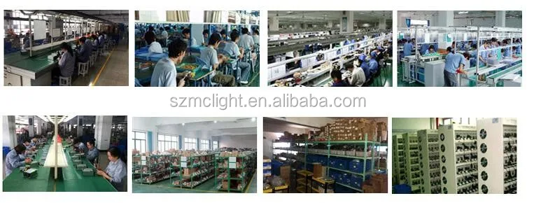 COMPANY INFO.jpg