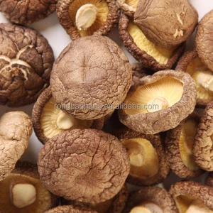 dried shiitake mushroom 4-5cm