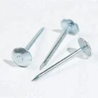 Roofing Nail Galvanized Twisted Roofing Nail with Big Umbrella Head
