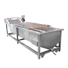 Onion Cleaning Machine Date Mango Washing Machine