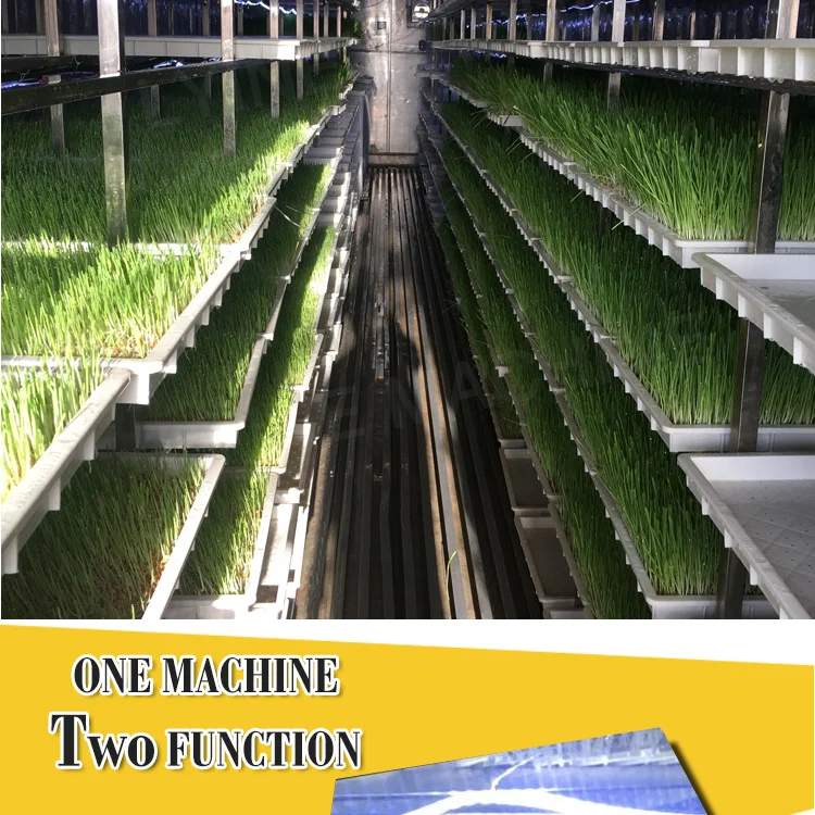 Seedling machine (9).jpg