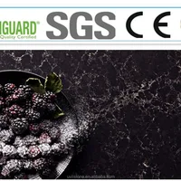 Hot Selling Black Quartz Countertop Factory