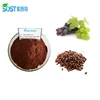 /product-detail/100-percent-top-quality-grape-juice-seed-powder-extract-1399845065.html