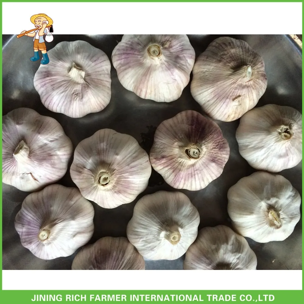 2017New Crop Fresh Normal White Garlic 5.0 cm In 20 kg Mesh Bag For Ecuador