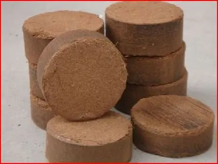 Coconut Products