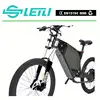 /product-detail/1500w-beach-cruiser-electric-bike-19-green-power-city-bike-with-control-box-with-the-tft-display-60556556996.html