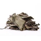 Nature 98% Chlorogenic Acid Powder Eucommia Ulmoides Oliver Extract Eucommia Leaf P.E.